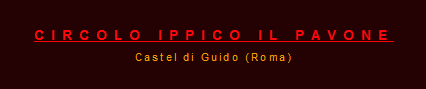 Il Pavone